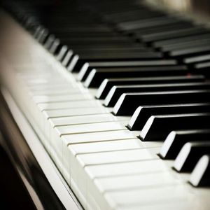 小马拉大车视频3D
