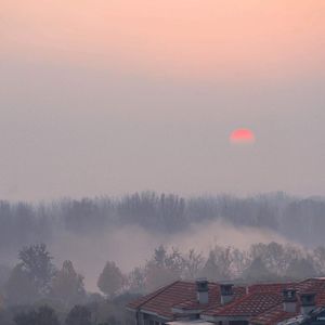 小马拉大车视频3D
