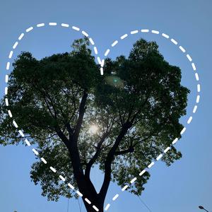 小马拉大车视频3D
