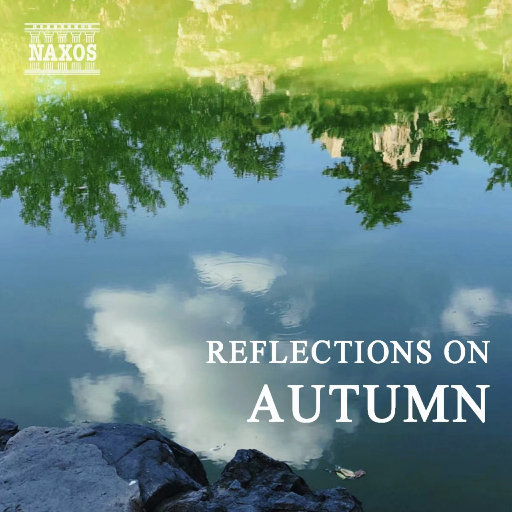 小马拉大车视频3D
